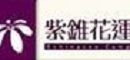 紫錐花運動